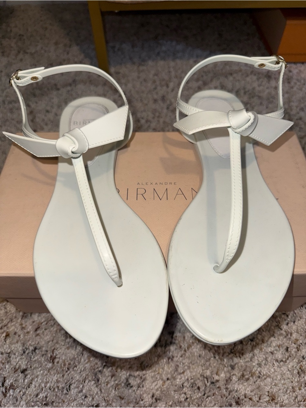 Alexandre Birman Clarita Jelly Sandal